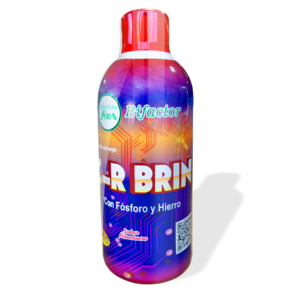 C-R Brin
